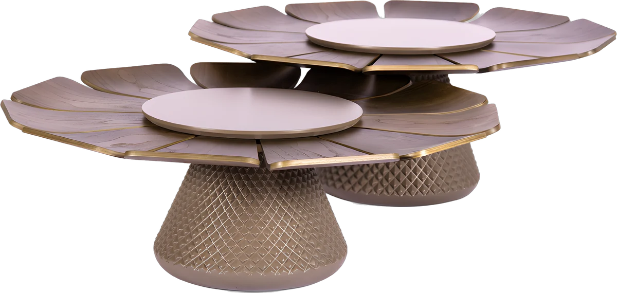 Mesa de Centro Flower, design de Aciole Félix, foto 1 de 4